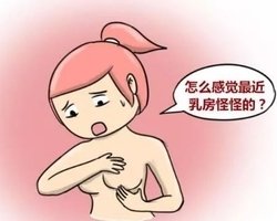 鷿ܳʲô